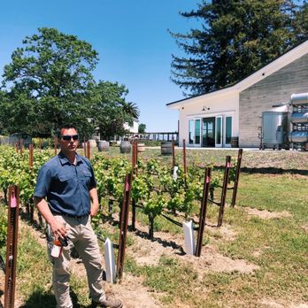 North Bay Wine Tours - Private tour of the vines with Paul from Small Vines. - Wine Tours Near Me North Bay Wine Tours - Private tour of the vines with Paul from Small Vines. - Wine Tours Near Me