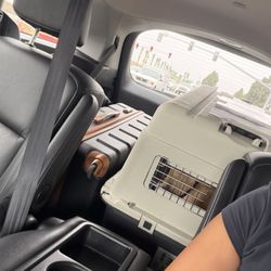 Always Ride On Time - Dog friendly