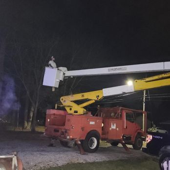 Carden Tree Service - Tree Services Near Me