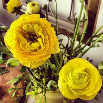 Brattle Square Florist - Florists Near Me - Cambridge, Massachusetts