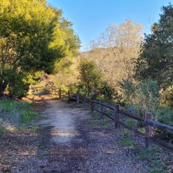 Main trail 2