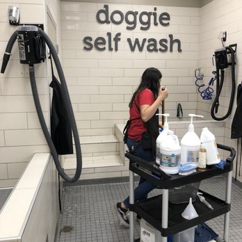 Petco - Employee cleaning up the wash station next to ours, ready for next doggy - Pet Stores Near Me - Van Nuys, California
