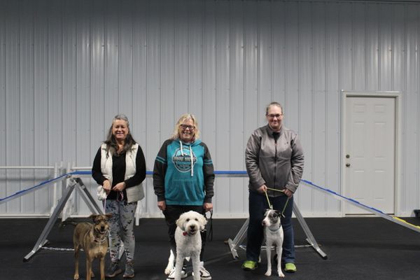 Dog Theory University