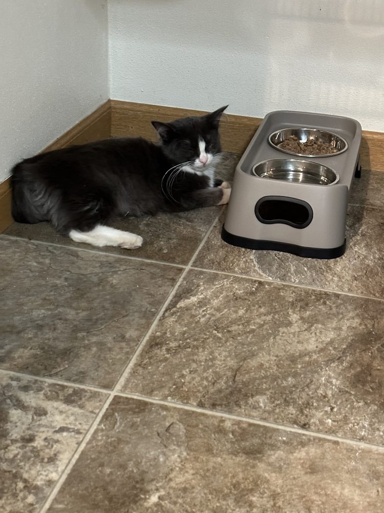 ELMBROOK HUMANE SOCIETY Updated November 2024 22 Reviews 20950