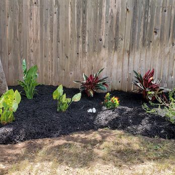Work in Wisdom Services - a garden bed with plants - Lawn Services Near Me Work in Wisdom Services - a garden bed with plants - Lawn Services Near Me