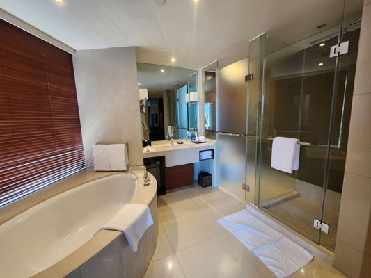 Hyatt Regency Hong Kong, Tsim Sha Tsui by null