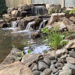 American Aquascapes
