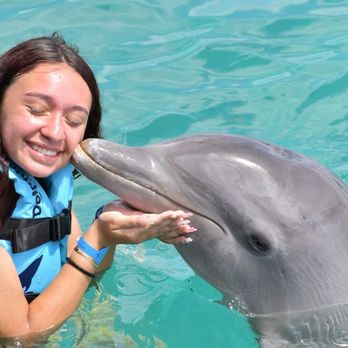 Dolphin Discovery Isla Mujeres - Tours Near Me - Isla Mujeres, ROO Dolphin Discovery Isla Mujeres - Tours Near Me - Isla Mujeres, ROO