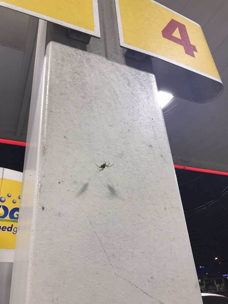 ESTEPP’S FRIENDLY SHELL RICHMOND Updated September 2024 1074