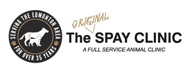 original spay clinic