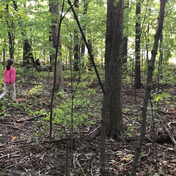 Manhattan Woods - Parks Near Me - Markham, Ontario Manhattan Woods - Parks Near Me - Markham, Ontario