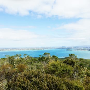 Rangitoto Island - View from the summit of Rangitoto Island - Local Flavor Near Me - Auckland, AUK Rangitoto Island - View from the summit of Rangitoto Island - Local Flavor Near Me - Auckland, AUK