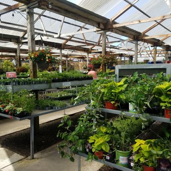 East Bay Nursery - Herbs and small flowers when you first enter - Nurseries & Gardening Near Me - Berkeley, California