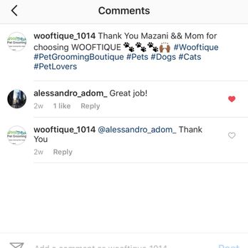 Wooftique - Pet Groomers Near Me - Irvington, New Jersey Wooftique - Pet Groomers Near Me - Irvington, New Jersey