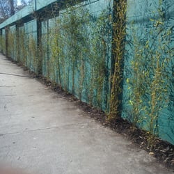 Parque Ecológico El Batán - Acera. Parque el Batán.