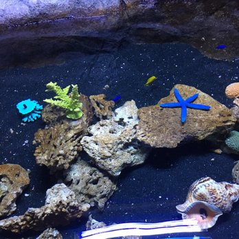 Austin Aquarium - Aquariums Near Me - Austin, Texas