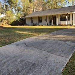 D's Trees - After