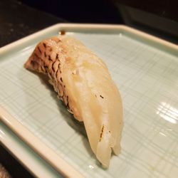 Snapper