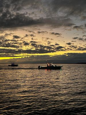 Banana Bay Tour Company by null