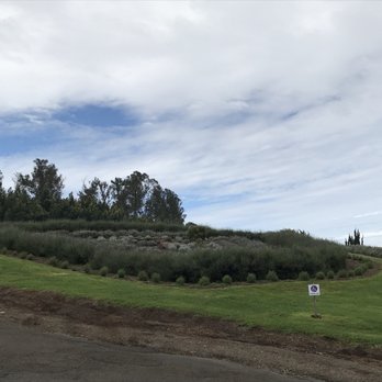 Ali'i Kula Lavender - Tours Near Me - Kula, Hawaii Ali'i Kula Lavender - Tours Near Me - Kula, Hawaii