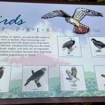 Boca Ciega Millennium Park - Parks Near Me - Seminole, Florida