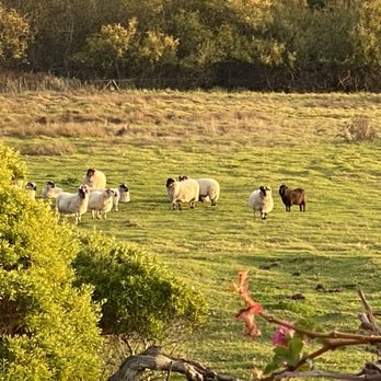 Mission Ranch - View from the Mission Ranch - Venues & Event Spaces Near Me - Carmel, California