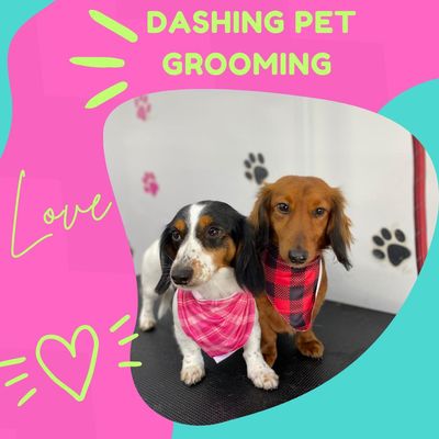 Dashing Pet Grooming - For over 4 years, we have been serving the pets and families of our local area. We love caring and connecting with animals and creating everlasting relationships. We provide care for your fur baby as if they were our own, and ensure that they receive the highest quality care while you're away. Dashing Pet Grooming - For over 4 years, we have been serving the pets and families of our local area. We love caring and connecting with animals and creating everlasting relationships. We provide care for your fur baby as if they were our own, and ensure that they receive the highest quality care while you're away.