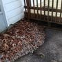 Photo of K&J Landscaping & Tree Service