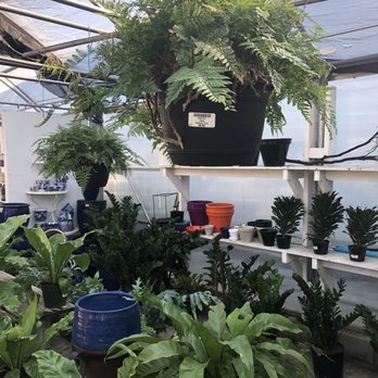 Family Tree Nursery - Nurseries & Gardening Near Me - Overland Park, Kansas Family Tree Nursery - Nurseries & Gardening Near Me - Overland Park, Kansas