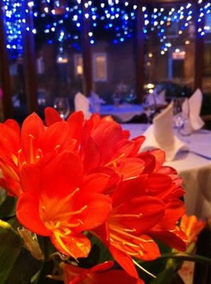 Thai Elephant Richmond by null