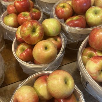 Solebury Orchards - Apples - Fruits & Veggies Near Me - New Hope, Pennsylvania Solebury Orchards - Apples - Fruits & Veggies Near Me - New Hope, Pennsylvania