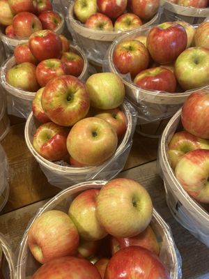 Solebury Orchards by null