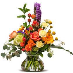 Sparta Floral & Greenhouses - Sparta Floral & Greenhouses