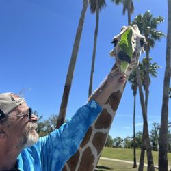 FLEX Rent A Car - Husband feeding giraffe in Serengeti at Busch Gardens.