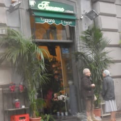 Tizzano Anna Piante e Fiori