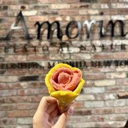 Amorino Gelato - mango & strawberry