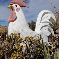 Dakota Bob's Western Wear Gift Card