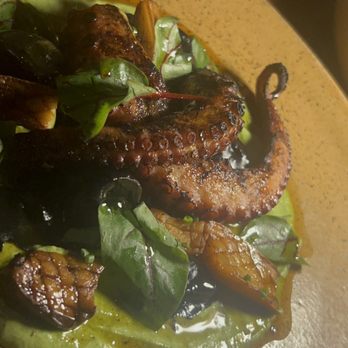 Verse - Octopus - Seafood Near Me - Toluca Lake, California