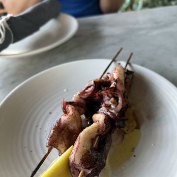 Terra - Calamari - Italian Near Me - Santa Clara, California Terra - Calamari - Italian Near Me - Santa Clara, California