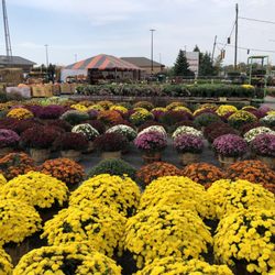 Clovers Garden Center