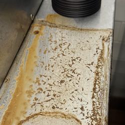 McDonald's - Maggots at the McCafe station