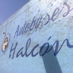 Autobuses Halcón