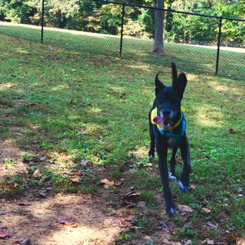 Rover's Ridge - Dog Parks Near Me - White House, Tennessee Rover's Ridge - Dog Parks Near Me - White House, Tennessee
