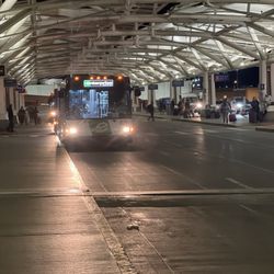 Avis Rent a Car - No Avis shuttle yet!
