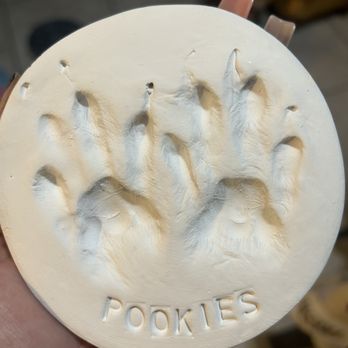 Small Paws Cremations - Pet Cremation Services Near Me - Los Angeles, California