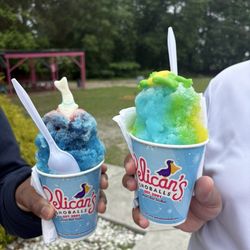 Pelican’s SnoBalls - Jonesboro - Shark and frog