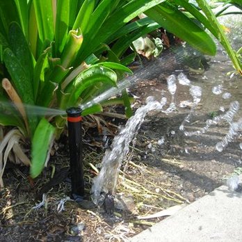 Sprinkler Pros - Broken Sprinkler - Irrigation Near Me - Orlando, Florida Sprinkler Pros - Broken Sprinkler - Irrigation Near Me - Orlando, Florida