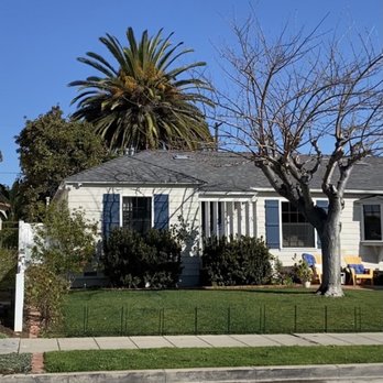 Jesus Higuera Tree Service - BEFORE - Tree Services Near Me Jesus Higuera Tree Service - BEFORE - Tree Services Near Me