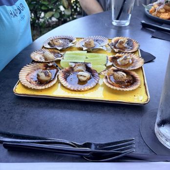 embarcadero 41 - Conchas Brasas - Sushi Bars Near Me - Boca Raton, Florida embarcadero 41 - Conchas Brasas - Sushi Bars Near Me - Boca Raton, Florida