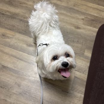 Peak City Veterinary Hospital - Happy baby :) - Veterinarians Near Me - Apex, North Carolina Peak City Veterinary Hospital - Happy baby :) - Veterinarians Near Me - Apex, North Carolina
